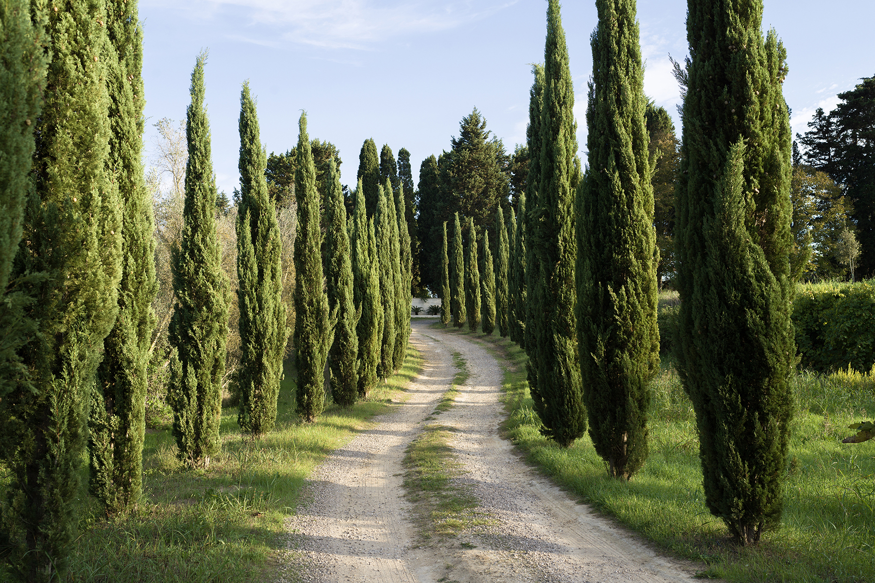 Villa Rudiae - Entrance