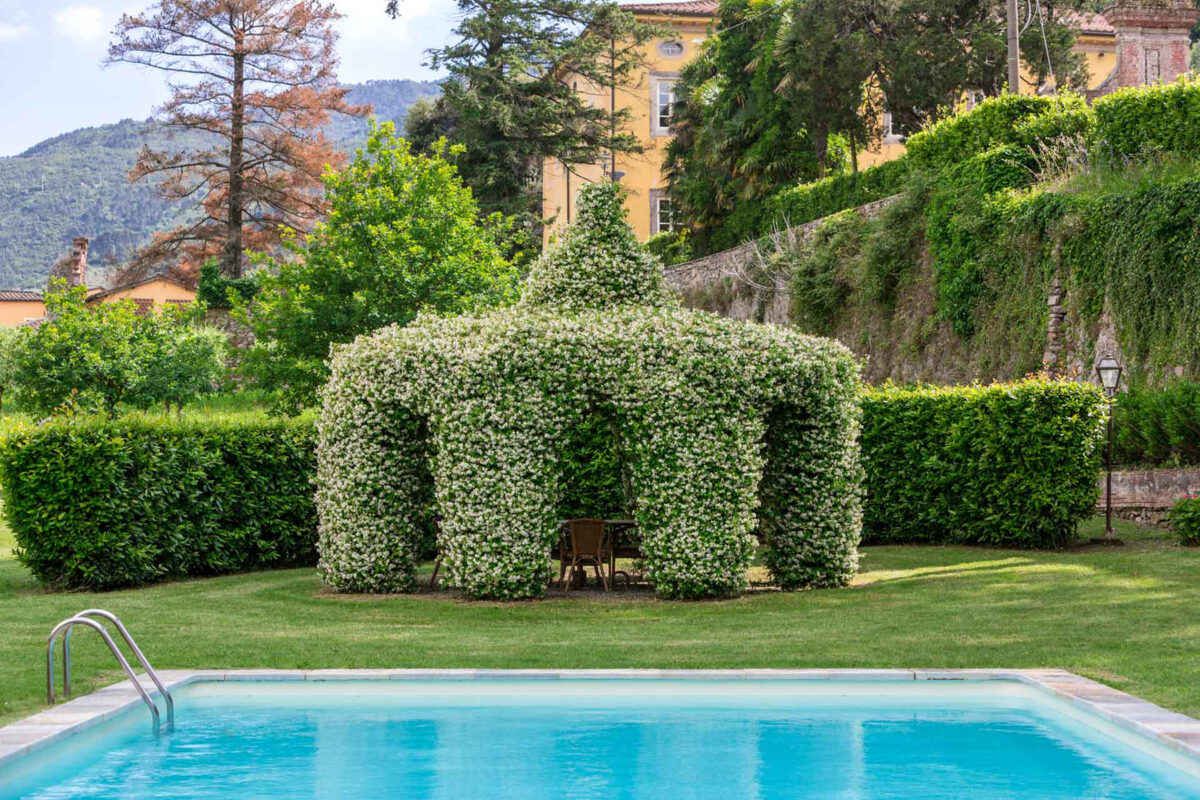 Casale Rosso - Ivy Gazebo