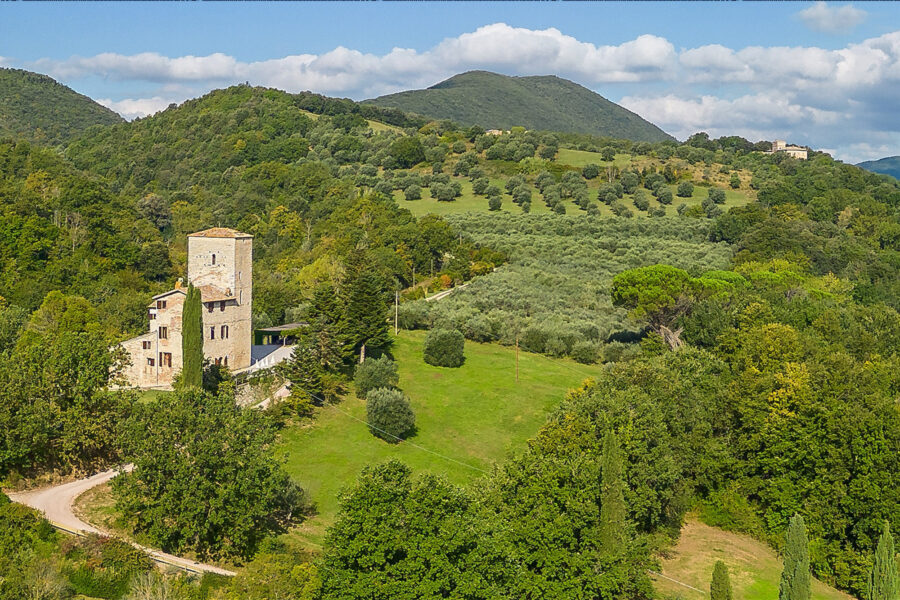 Castello Bonaparte - Tower Palace - Exterior